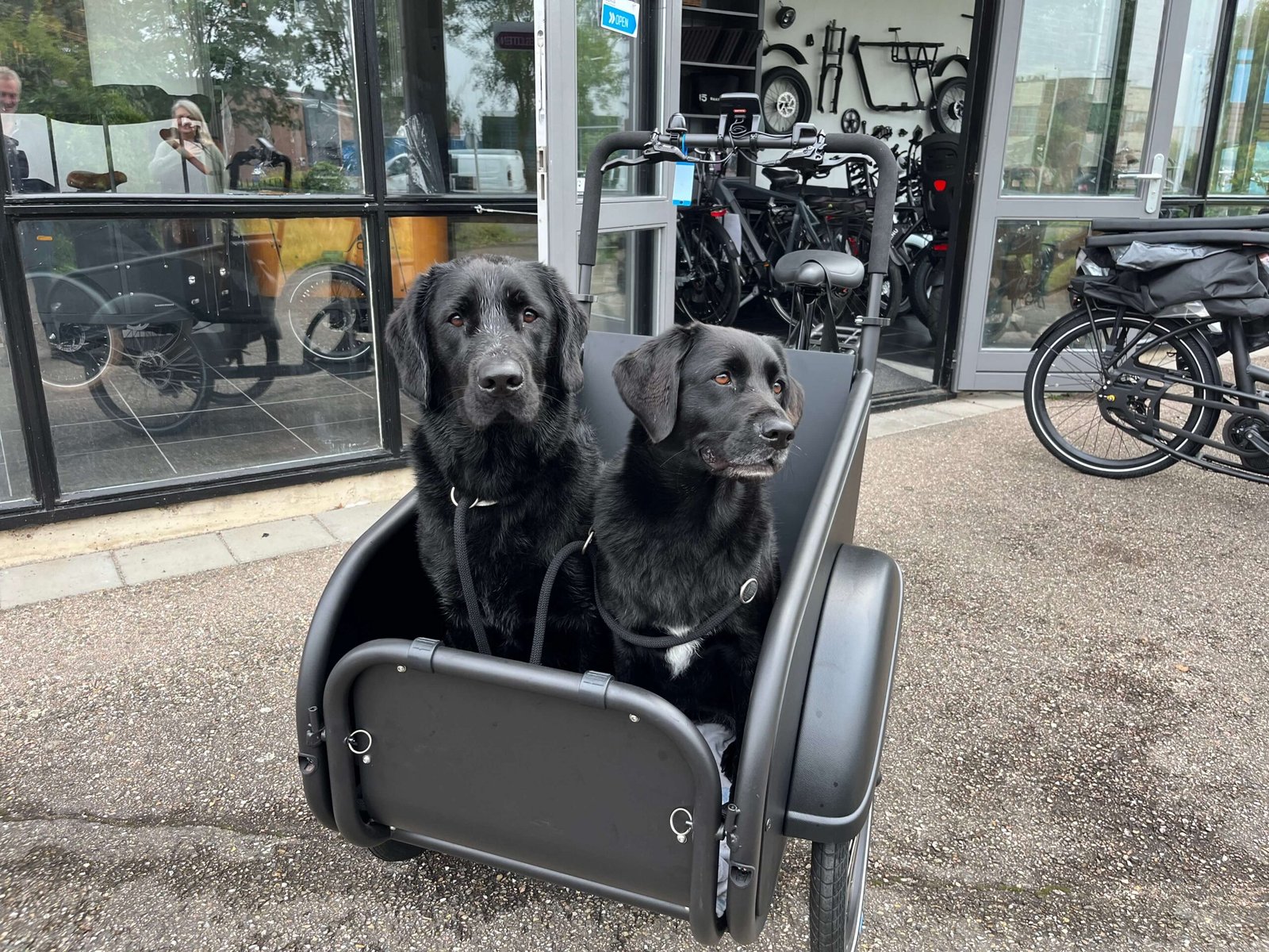 Bakfiets voor hond