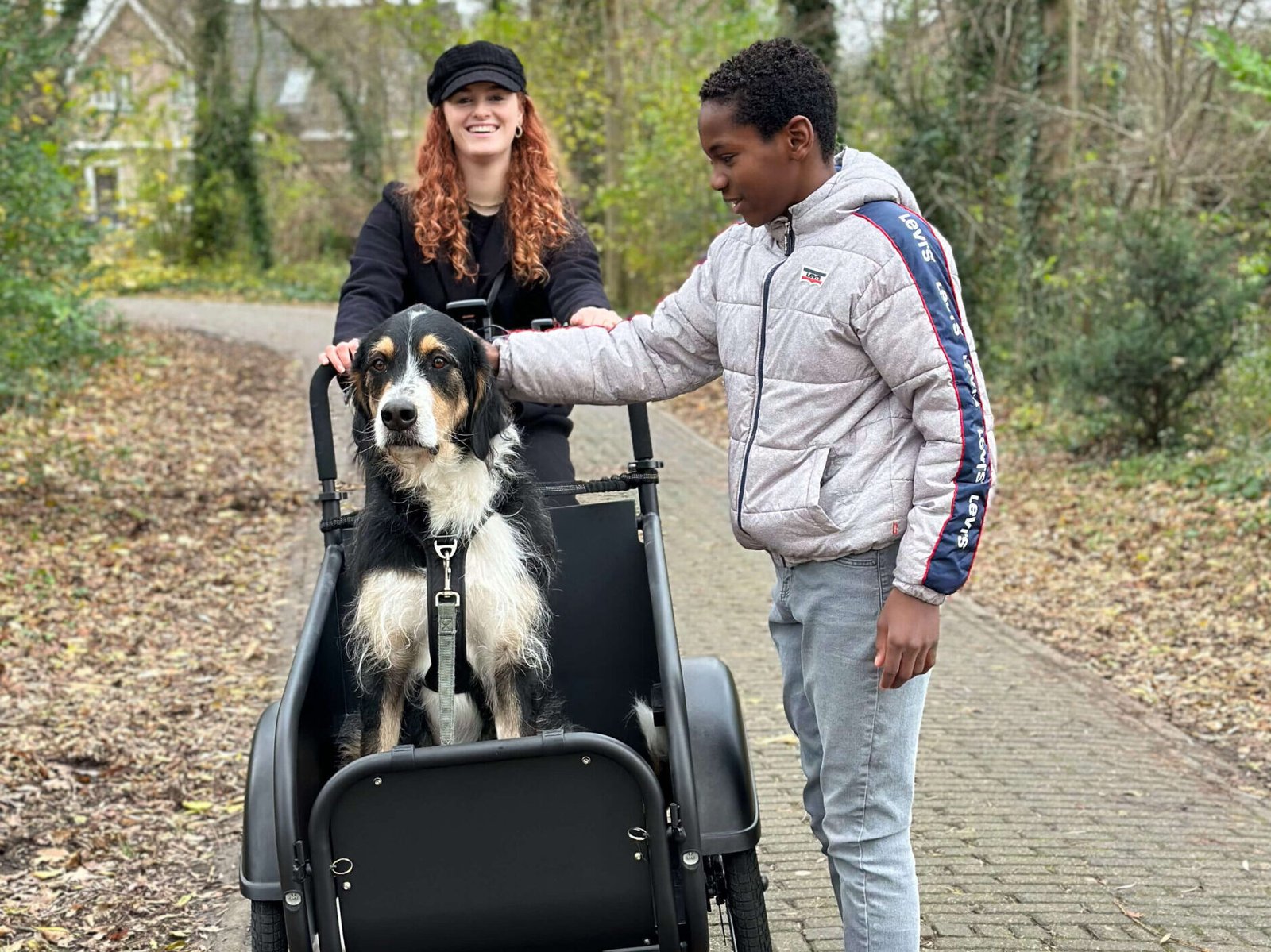 Bakfiets voor hond