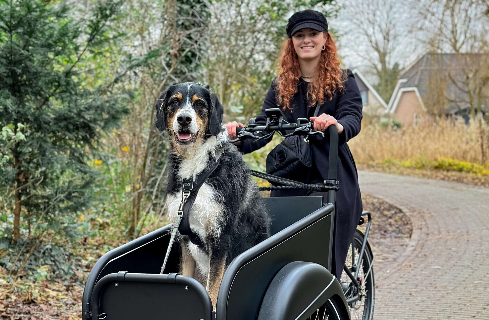 Bakfiets voor hond