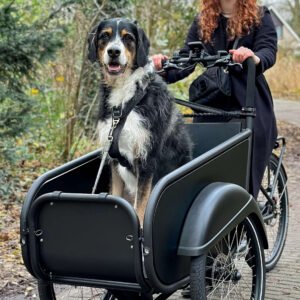 bakfiets voor hond